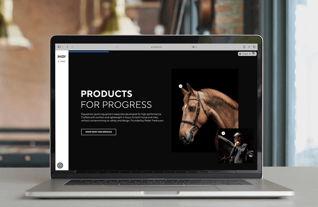 Apple Vision Pro Experience