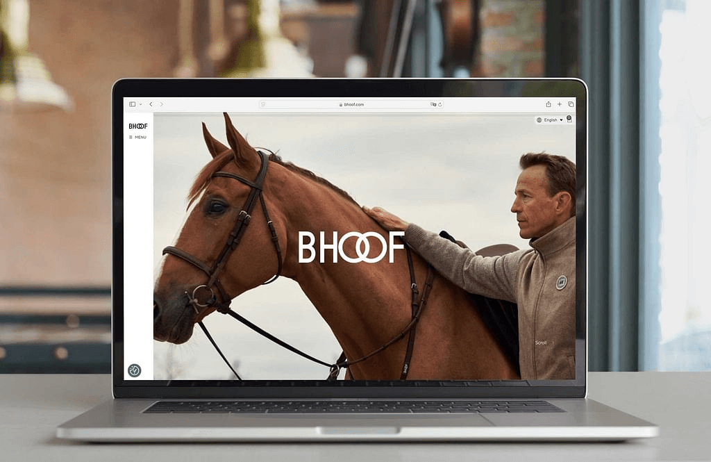 Apple Vision Pro Experience